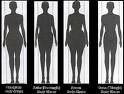 bodies