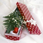 a box with a red rose